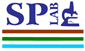SPLab Logo